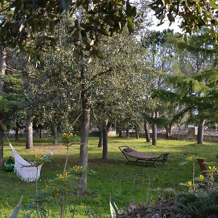 Margherita Apartment - Villaggio di Mary Locorotondo Esterno foto